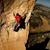 Kenny Dean Satterfield's profile image