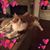 Teresa Reaves Greenawalt's profile image