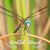 Susie Owens Williams's profile image