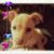 Miri Holliman's profile image