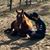 Anthony Perata's profile image
