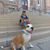 Marilyn Ayala's profile image