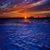 Judy Sischo Ramseyer's profile image