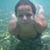 Jane S. Frakes's profile image