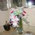 Beverly Celia Tavares's profile image