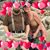 Jerry Dale Coleman's profile image