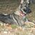 Rebecca L Roberts's profile image