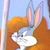 Daniel Hettenbach's profile image