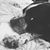 Susan Burge's profile image