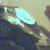 Timothy Timson's profile image