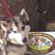 Patricia Bryce's profile image
