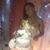 Bianca Elisse Rivera's profile image