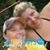 Andrea Ugalde's profile image