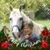Luann DeGrose's profile image