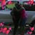 Angela Hurst's profile image
