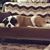 Debra Reddy's profile image