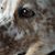 Harlen Waring's profile image