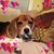 Trina Neilson's profile image