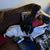 Brenda Moore Fritz's profile image