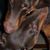 Louise Hill's profile image