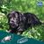 Suzanne Dietz's profile image