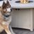 Audrey Roemmich Larson's profile image