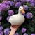 Adrianah Lee's profile image