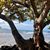 Jerri LaHaie's profile image