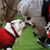 Melissa A Messer's profile image