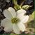 Linda Miller's profile image