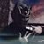 Greg Pinkney's profile image