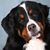 Kathleen Armstrong Webb's profile image