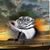 Tom Botell's profile image