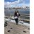 Michelle L. Everett's profile image