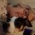 Linda Ammon Keery's profile image