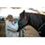 Tammy Cortlessa's profile image