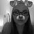 Madison Love's profile image