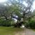 Christine Rene' Kasmer-Schuler's profile image