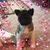Kellee McClure Hersha's profile image