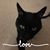 Jackie Pelegrin's profile image