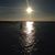 Lorraine DiTonno's profile image
