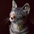 CaityCat's profile image