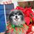 Louise Blaisse's profile image