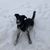Janis Young Ralston's profile image