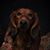 Halinka Maria's profile image