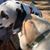 Emster's Paws's profile image
