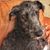 Mary Glynn's profile image