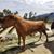 Jorge Gonzalez's profile image