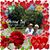 Margo Maples's profile image