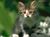carolyn q.'s profile image